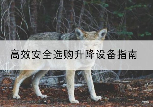 西工升降货梯厂家推荐-*安全选购升降设备指南