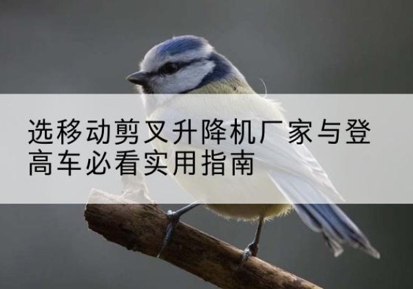 西工电动升降机厂家-选移动剪叉升降机厂家与登高车必看实用指南
