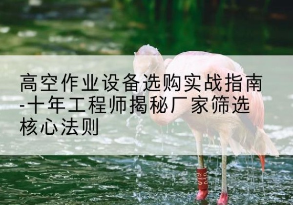 西工剪叉式升降机厂家-高空作业设备选购实战指南-十年工程师揭秘厂家筛选核心法则